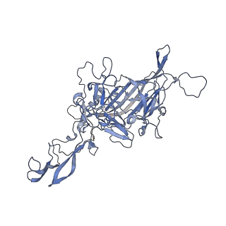 23200_7l6a_E_v1-1
The genome-containing AAV12 capsid