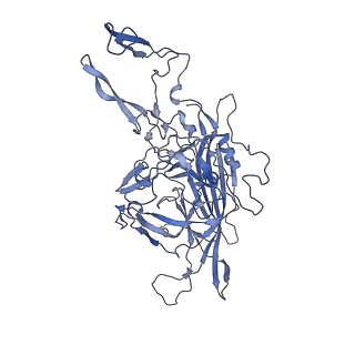 23200_7l6a_F_v1-0
The genome-containing AAV12 capsid