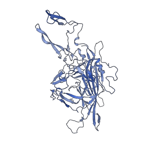 23200_7l6a_F_v1-1
The genome-containing AAV12 capsid