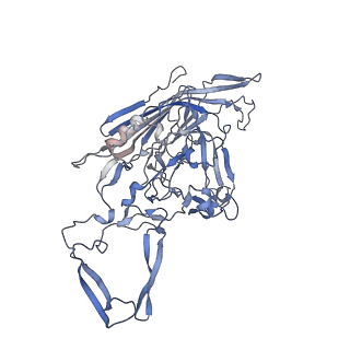 23200_7l6a_H_v1-1
The genome-containing AAV12 capsid