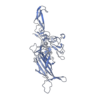23200_7l6a_J_v1-0
The genome-containing AAV12 capsid