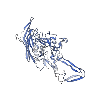 23200_7l6a_K_v1-1
The genome-containing AAV12 capsid