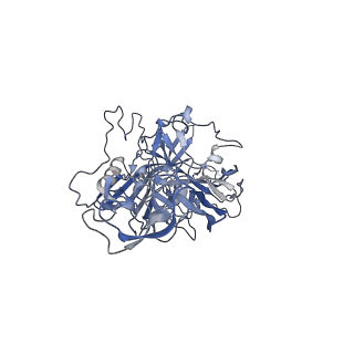 23200_7l6a_L_v1-0
The genome-containing AAV12 capsid