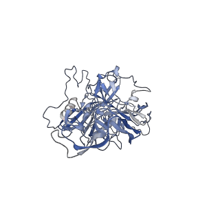 23200_7l6a_L_v1-1
The genome-containing AAV12 capsid