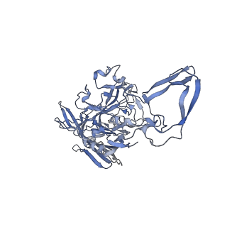 23200_7l6a_M_v1-0
The genome-containing AAV12 capsid