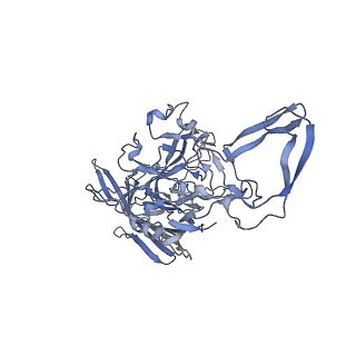 23200_7l6a_M_v1-1
The genome-containing AAV12 capsid