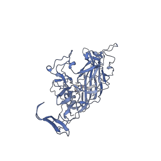 23200_7l6a_N_v1-0
The genome-containing AAV12 capsid