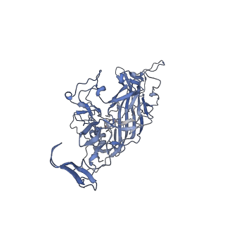 23200_7l6a_N_v1-1
The genome-containing AAV12 capsid