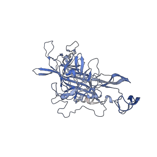 23200_7l6a_Q_v1-0
The genome-containing AAV12 capsid