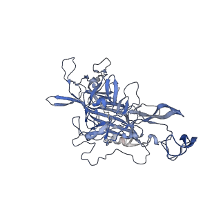 23200_7l6a_Q_v1-1
The genome-containing AAV12 capsid