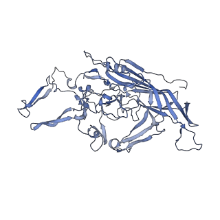 23200_7l6a_R_v1-1
The genome-containing AAV12 capsid