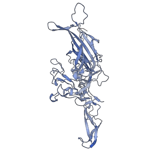 23200_7l6a_S_v1-1
The genome-containing AAV12 capsid