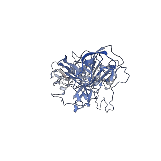23200_7l6a_U_v1-0
The genome-containing AAV12 capsid