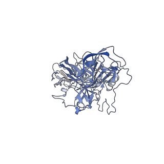 23200_7l6a_U_v1-1
The genome-containing AAV12 capsid