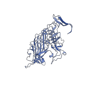 23200_7l6a_Y_v1-0
The genome-containing AAV12 capsid