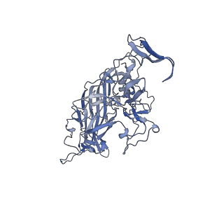 23200_7l6a_Y_v1-1
The genome-containing AAV12 capsid