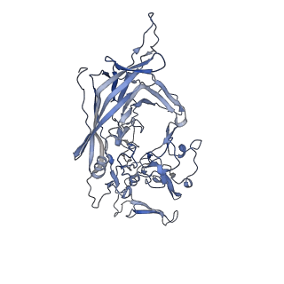 23200_7l6a_Z_v1-1
The genome-containing AAV12 capsid