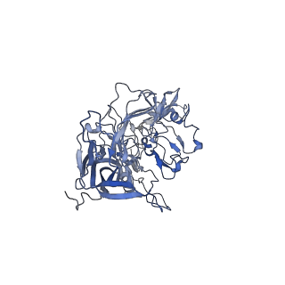 23200_7l6a_a_v1-0
The genome-containing AAV12 capsid