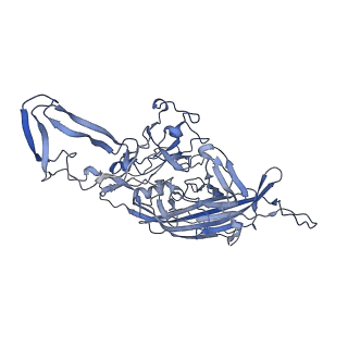 23200_7l6a_b_v1-1
The genome-containing AAV12 capsid