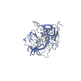 23200_7l6a_d_v1-0
The genome-containing AAV12 capsid