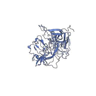 23200_7l6a_d_v1-1
The genome-containing AAV12 capsid