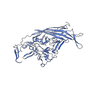 23200_7l6a_f_v1-0
The genome-containing AAV12 capsid