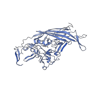 23200_7l6a_f_v1-1
The genome-containing AAV12 capsid