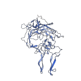 23200_7l6a_g_v1-1
The genome-containing AAV12 capsid