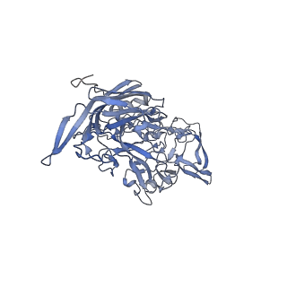23200_7l6a_h_v1-0
The genome-containing AAV12 capsid