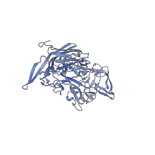 23200_7l6a_h_v1-1
The genome-containing AAV12 capsid