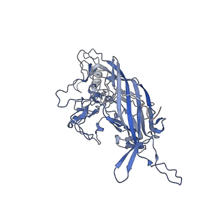 23200_7l6a_i_v1-0
The genome-containing AAV12 capsid