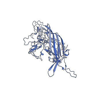 23200_7l6a_i_v1-1
The genome-containing AAV12 capsid