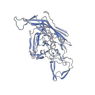 23200_7l6a_j_v1-1
The genome-containing AAV12 capsid