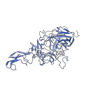 23200_7l6a_k_v1-0
The genome-containing AAV12 capsid