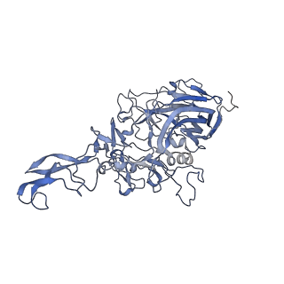 23200_7l6a_k_v1-1
The genome-containing AAV12 capsid