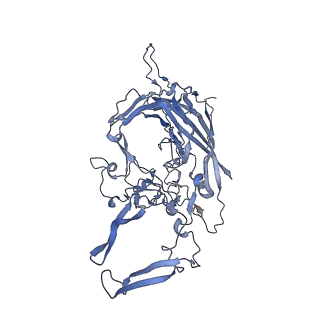 23200_7l6a_l_v1-1
The genome-containing AAV12 capsid