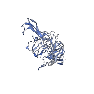 23200_7l6a_n_v1-1
The genome-containing AAV12 capsid