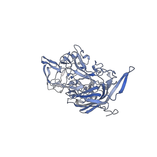 23200_7l6a_o_v1-0
The genome-containing AAV12 capsid