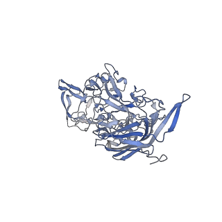 23200_7l6a_o_v1-1
The genome-containing AAV12 capsid