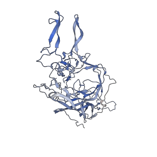 23200_7l6a_p_v1-1
The genome-containing AAV12 capsid