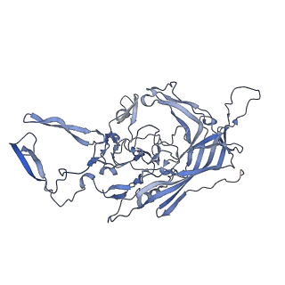 23200_7l6a_q_v1-1
The genome-containing AAV12 capsid