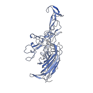 23200_7l6a_r_v1-1
The genome-containing AAV12 capsid