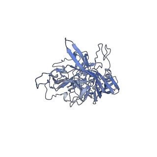 23200_7l6a_s_v1-0
The genome-containing AAV12 capsid