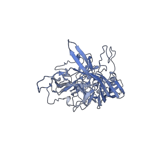 23200_7l6a_s_v1-1
The genome-containing AAV12 capsid