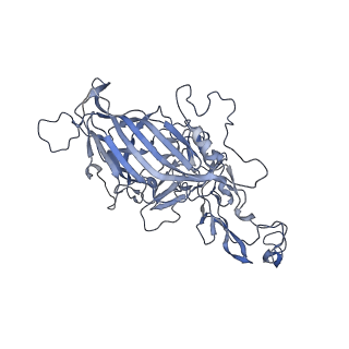 23200_7l6a_t_v1-1
The genome-containing AAV12 capsid