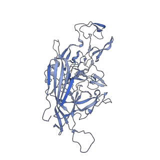 23200_7l6a_v_v1-1
The genome-containing AAV12 capsid