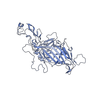 23200_7l6a_w_v1-1
The genome-containing AAV12 capsid