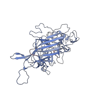 23200_7l6a_x_v1-1
The genome-containing AAV12 capsid