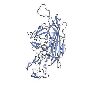 23200_7l6a_y_v1-1
The genome-containing AAV12 capsid