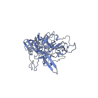 23200_7l6a_z_v1-0
The genome-containing AAV12 capsid